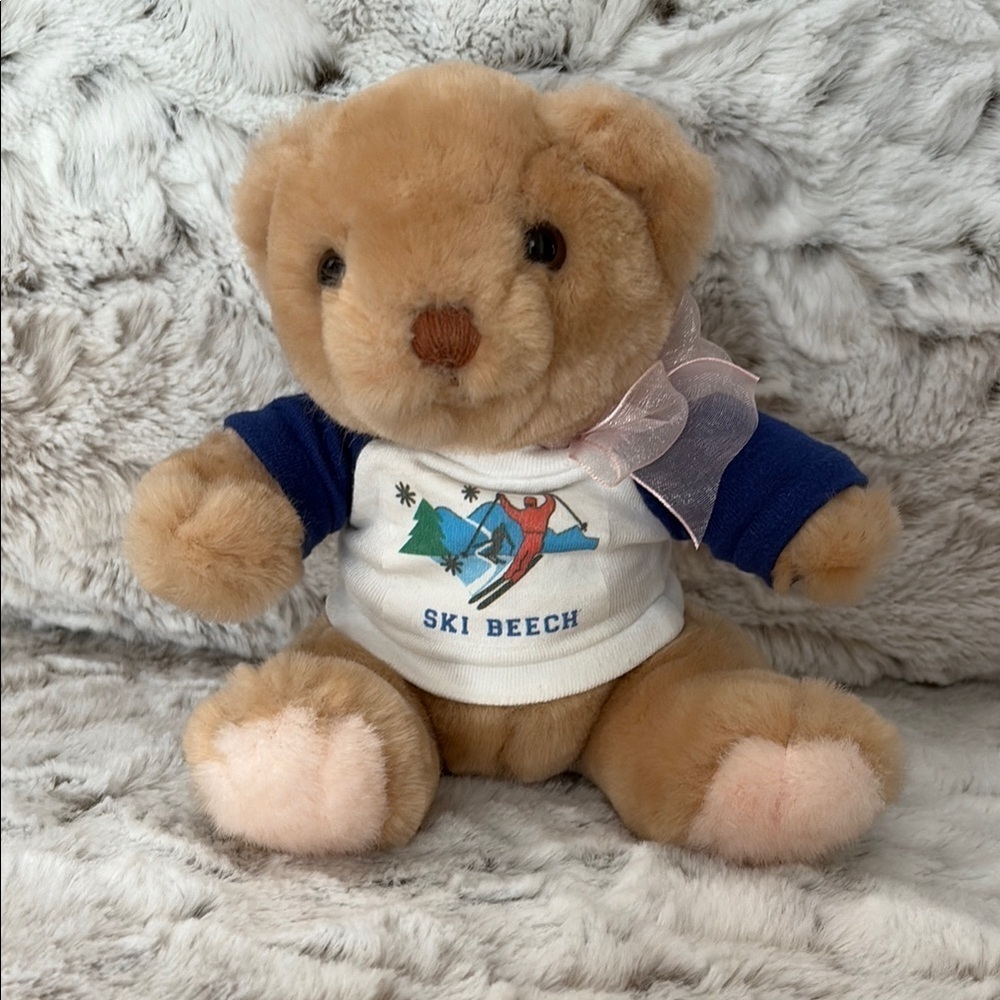 Russ Teddy Bear with Blue Sleeve and Pink Bow. Ski Beech. Vintage